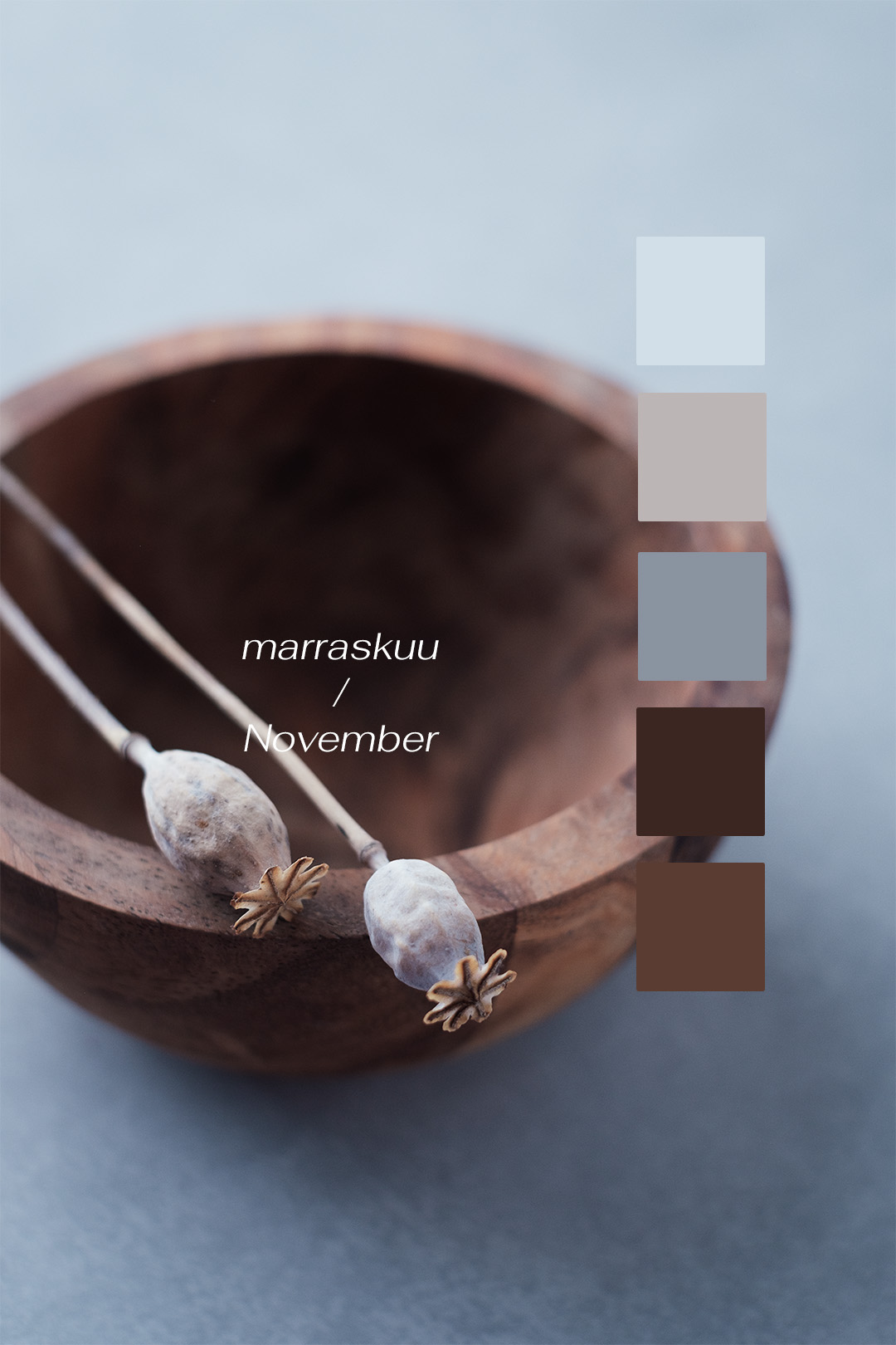 Väripaletti neutraaleissa sävyissä. Valokuva.
