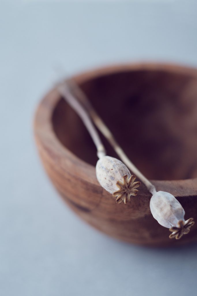 Puukulho ja siemenkota. Valokuva.