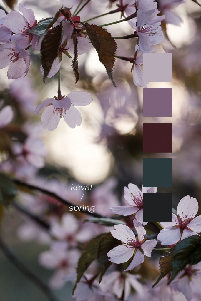 Väripaletti. Valokuva.