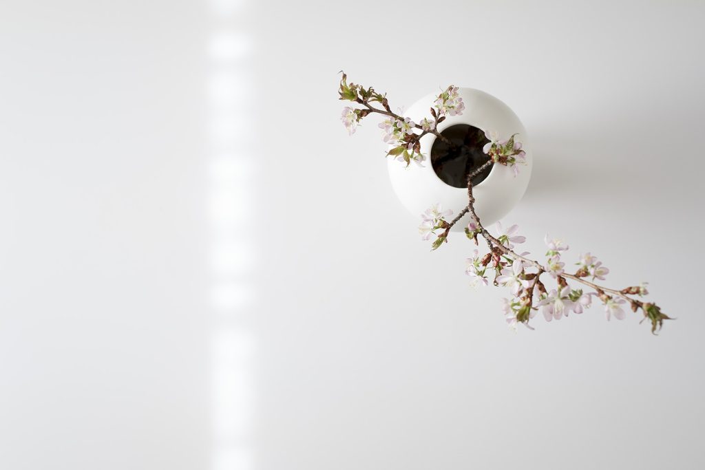 Lifestyle kuvaus sisustuskuva kirsikankukista maljakossa. Valokuva.