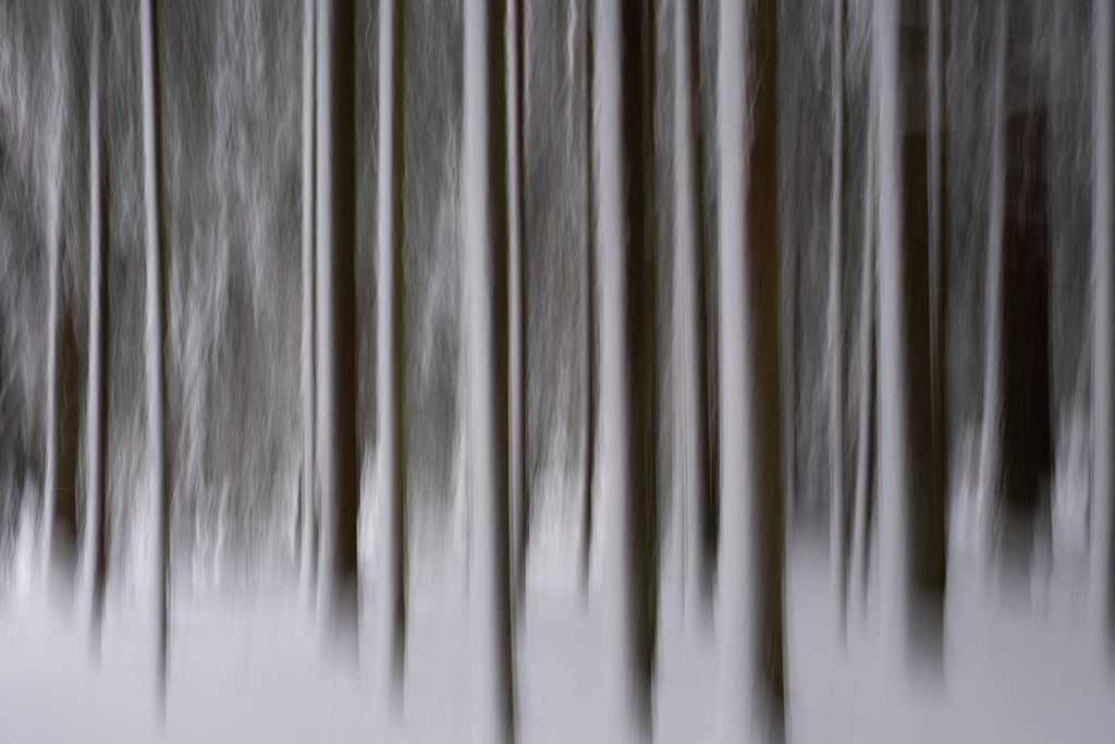 Luovaa valokuvausta ICM-tekniikalla. Valokuva.