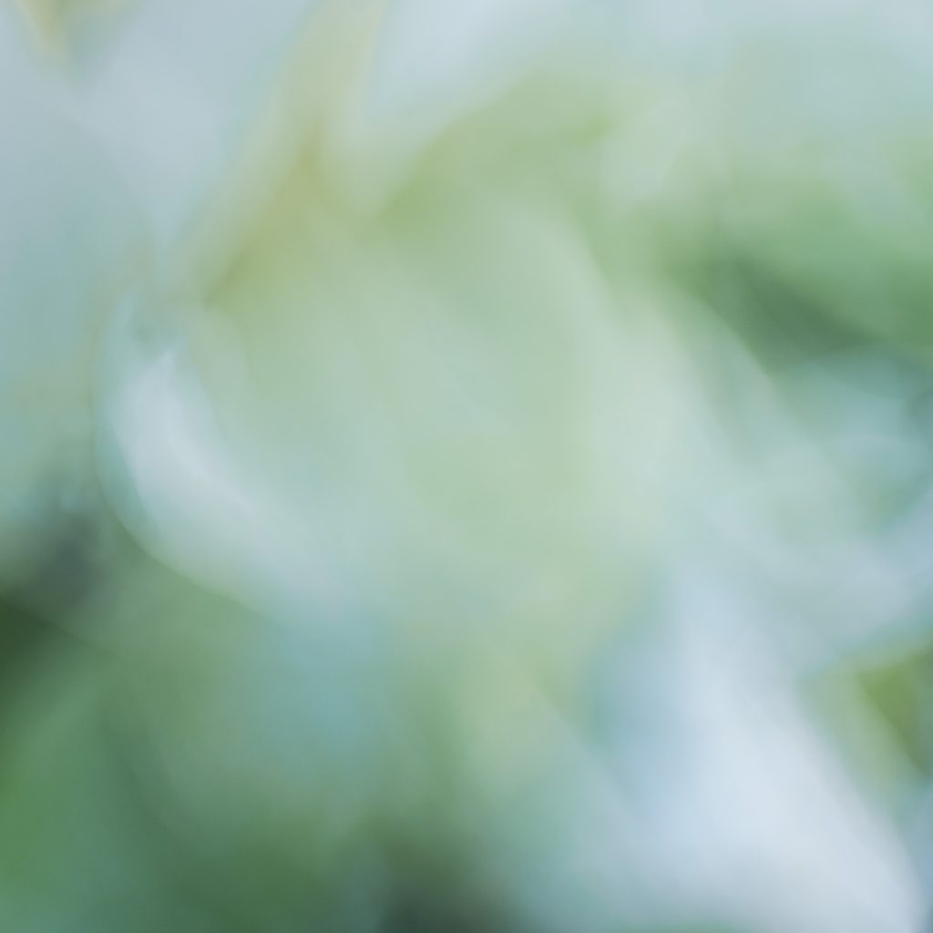 ICM tekniikalla tehty abstrakti vihreä kuva sisustustauluksi. Valokuva.