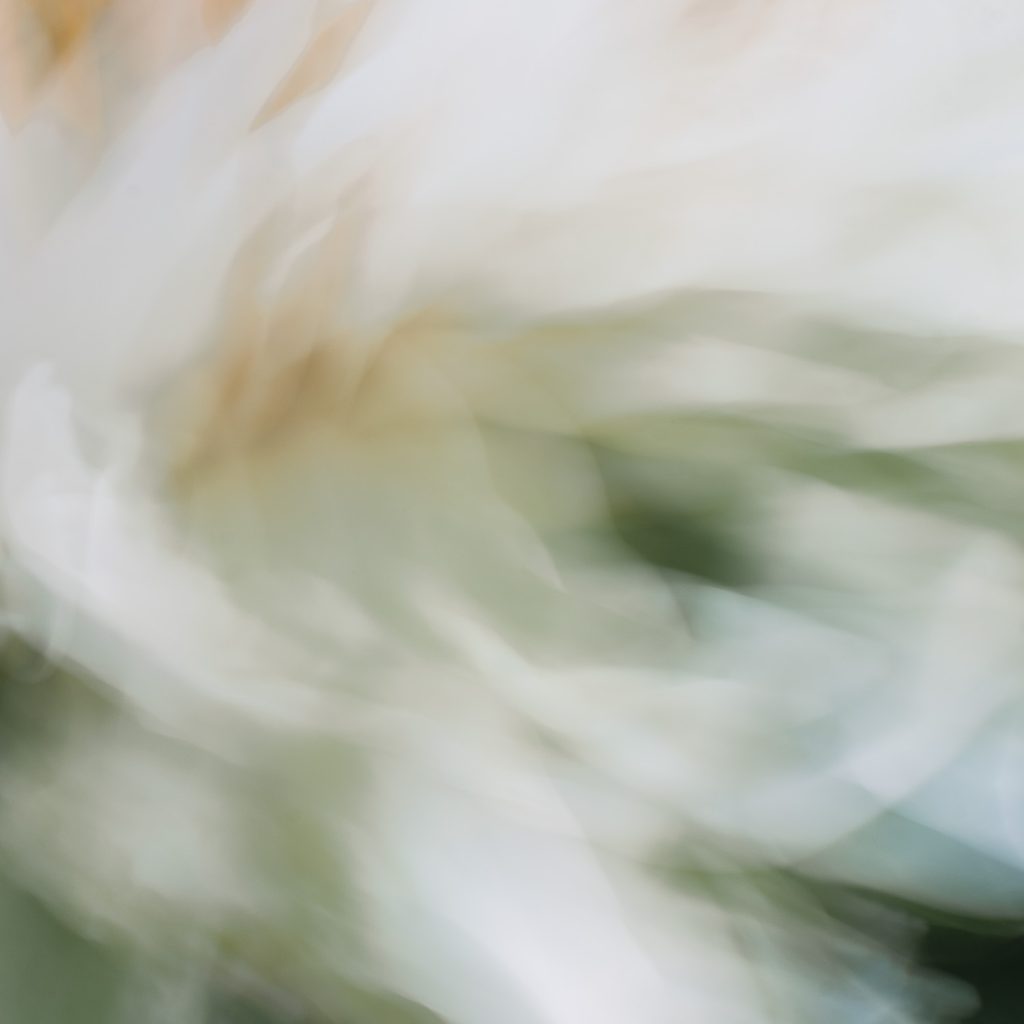 ICM tekniikalla tehty abstrakti sage green kuva sisustustauluksi. Valokuva.