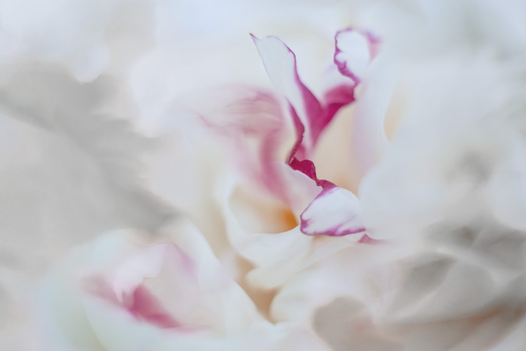 ICM tekniikalla tehty abstrakti pinkki kuva sisustustauluksi. Valokuva.