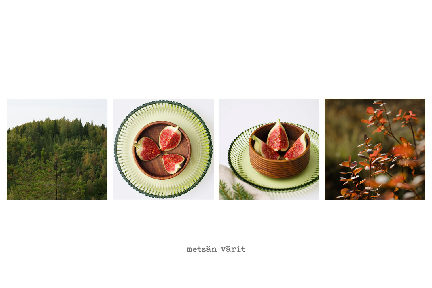 kuvasarja luontokuvista ja ruokakuvista yrityksille. Valokuva.