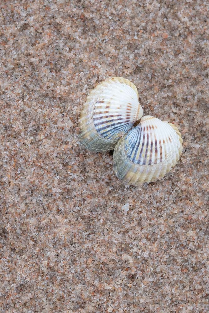 Hiekkarantaa Hangossa. Valokuva.