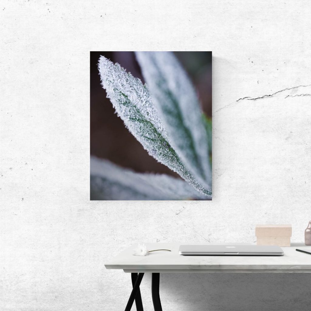 Sisustuskuvat tilauksesta. Valokuva.