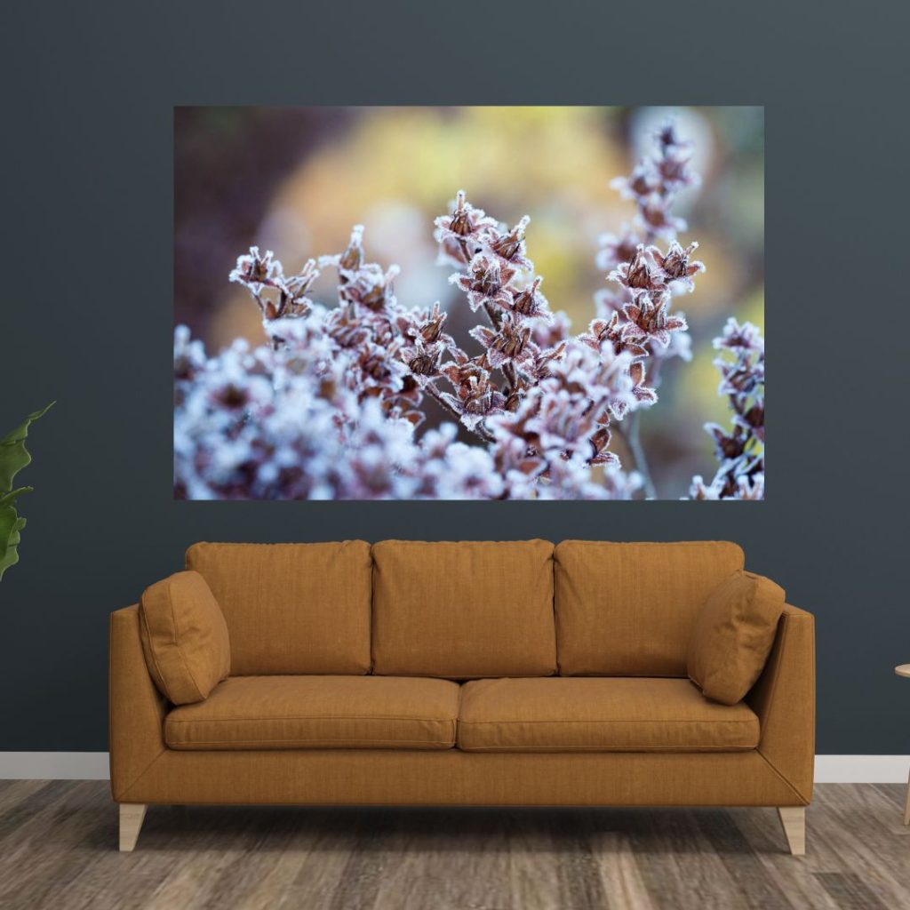 Sisustuskuvat tilauksesta. Valokuva.