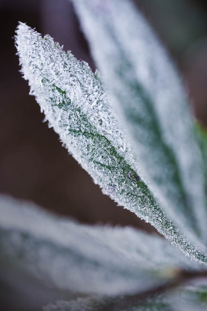 Sisustuskuvat tilauksesta. Valokuva.