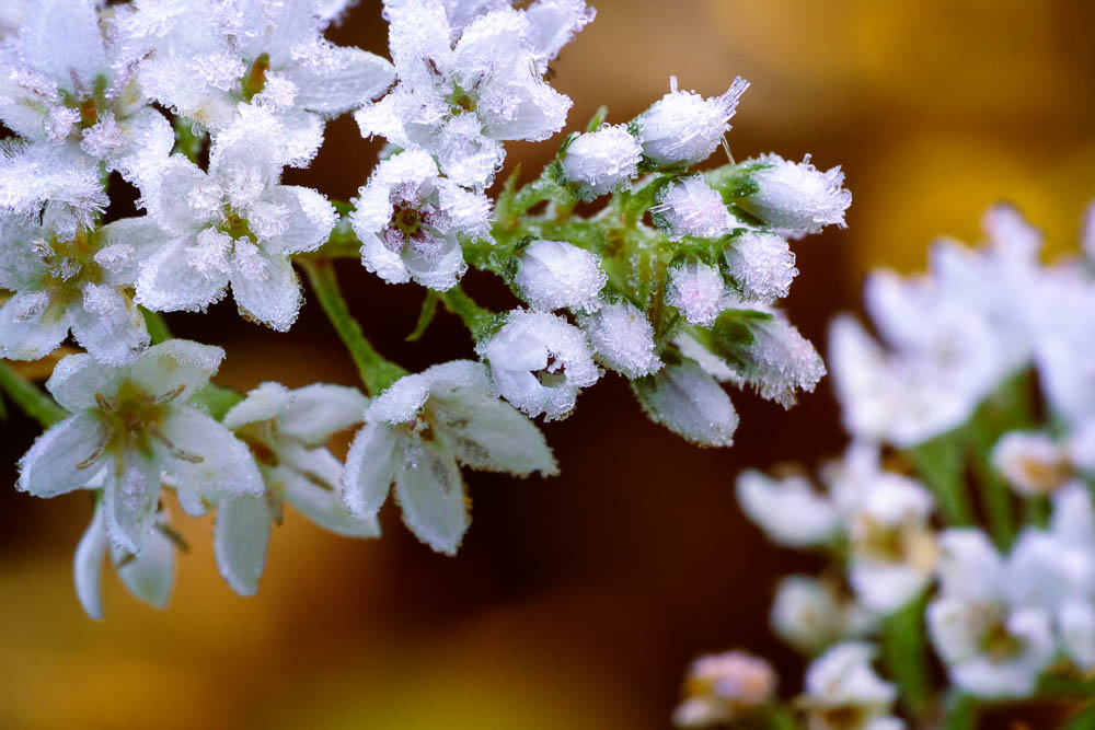 Sisustuskuvat tilauksesta. Valokuva.