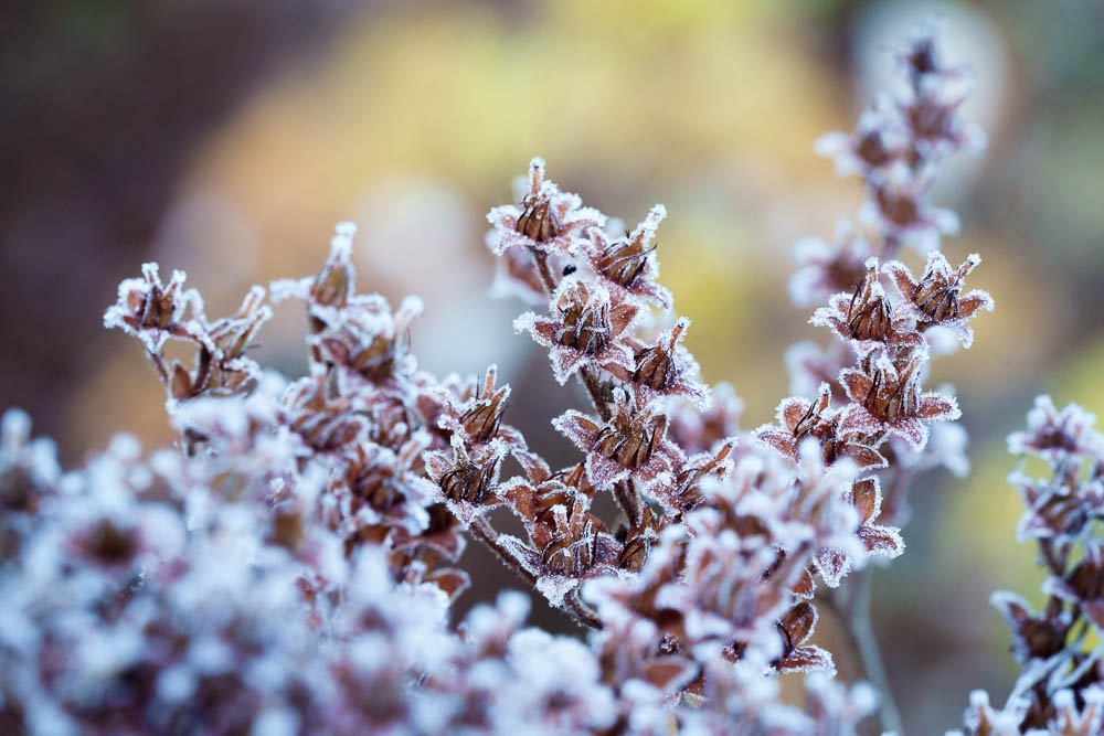Sisustuskuvat tilauksesta. Valokuva.