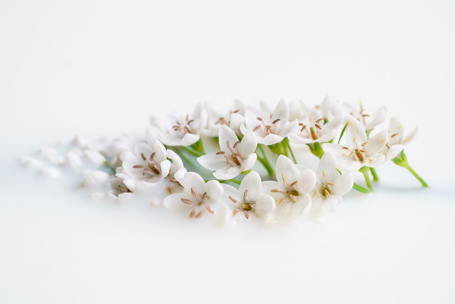 Sisustuskuvia valokuvista. Valokuva.