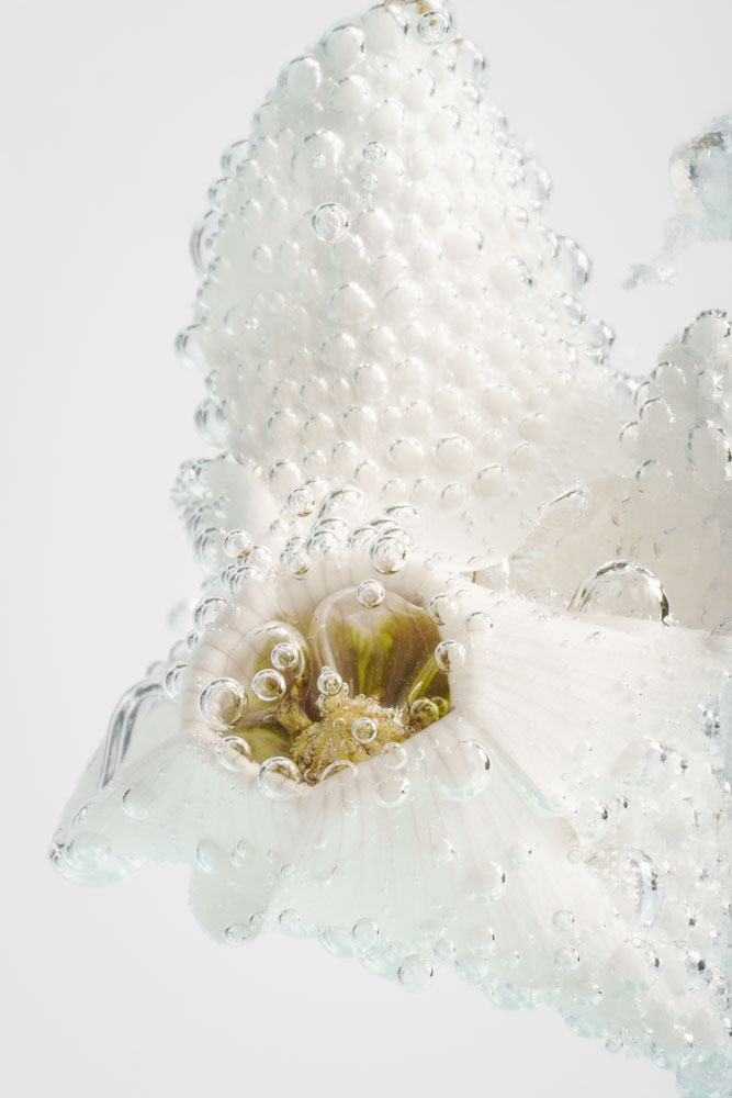 Luovaa valokuvausta.