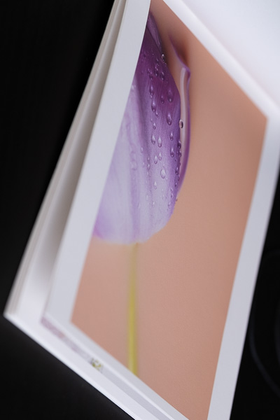 Valokuvakirjanen eli zine shibumiprojektista