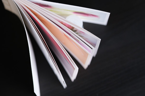 Valokuvakirjanen eli zine shibumiprojektista