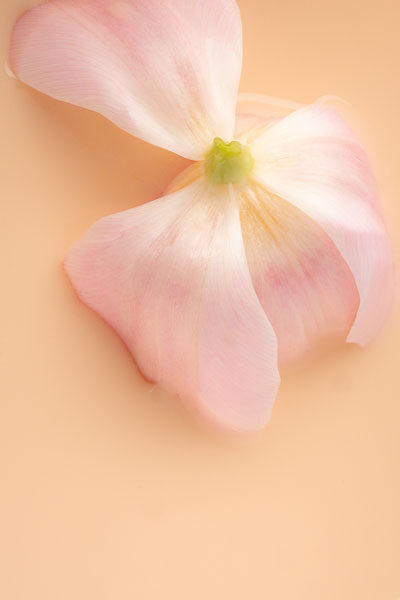 Luova valokuvausprojekti