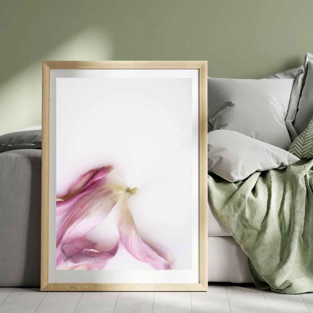 Wall art photography flowers
